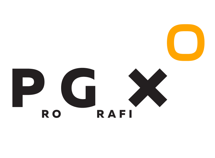 Prographix logo